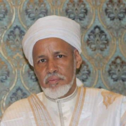 الشيخ الخليل النحوي